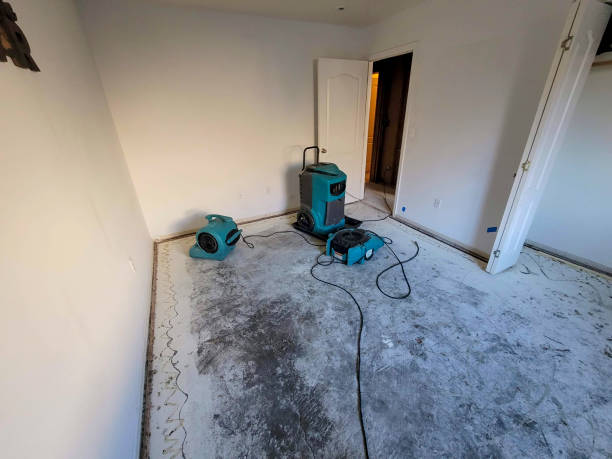 Best Flood restoration services  in Birch Bay, WA