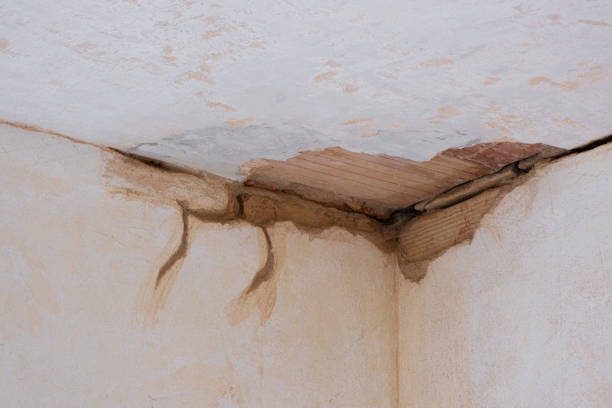 Best Water damage restoration near me  in Birch Bay, WA