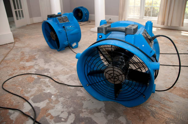 Best Basement water damage restoration  in Birch Bay, WA