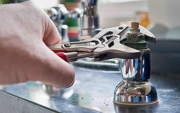 Best Water damage cleanup near me  in Birch Bay, WA