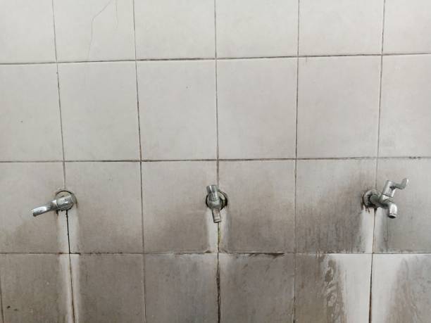 Best 24/7 water damage repair  in Birch Bay, WA