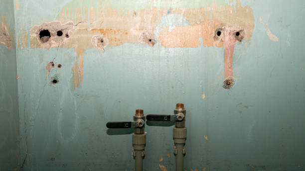 Best Mold removal after water damage  in Birch Bay, WA