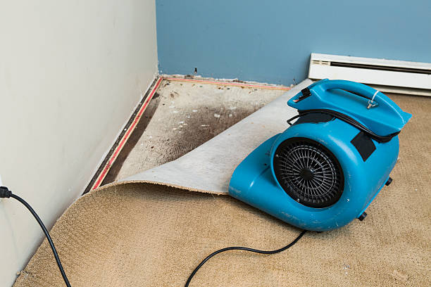  Birch Bay, WA Water damage restoration Pros